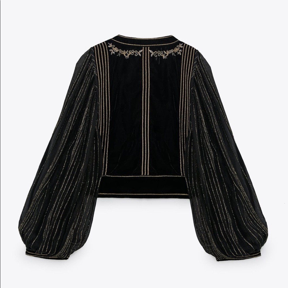 ZARA Embroidered Velvet Jacket - Picture 6 of 8